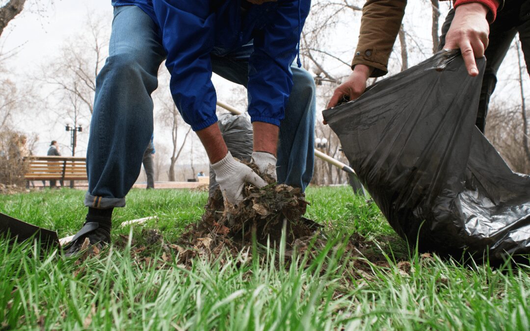 Landscaping Spring Cleanup