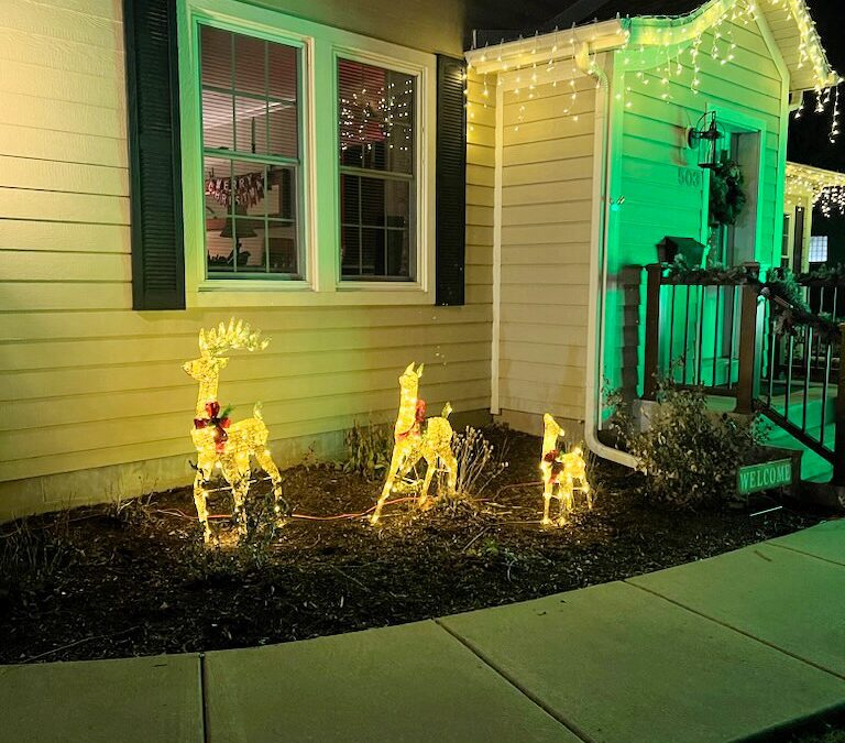 House with illuminated reindeer and Christmas lights