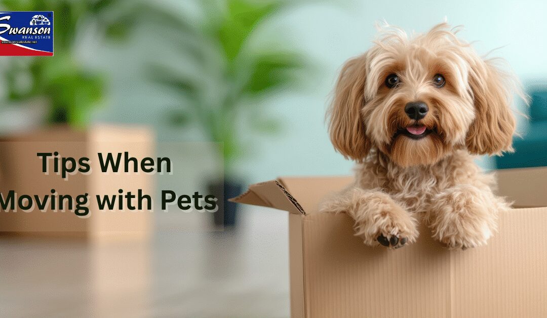 Tips When Moving With Pets